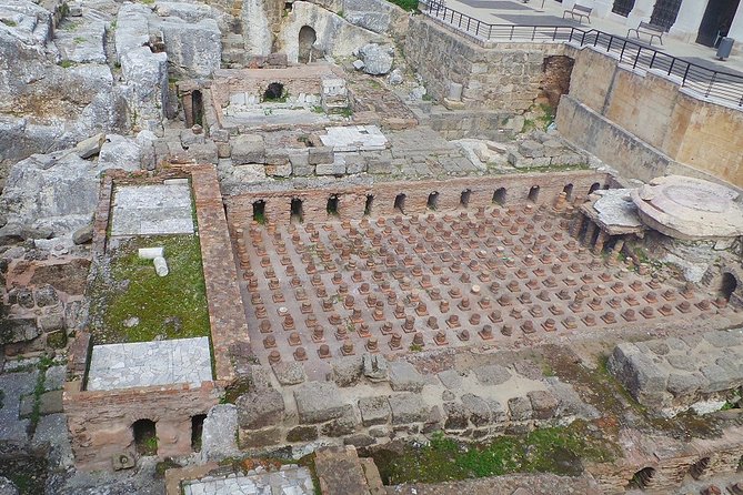 Exploring Ancient Wonders, Vineyard Delights, and Majestic Cedars