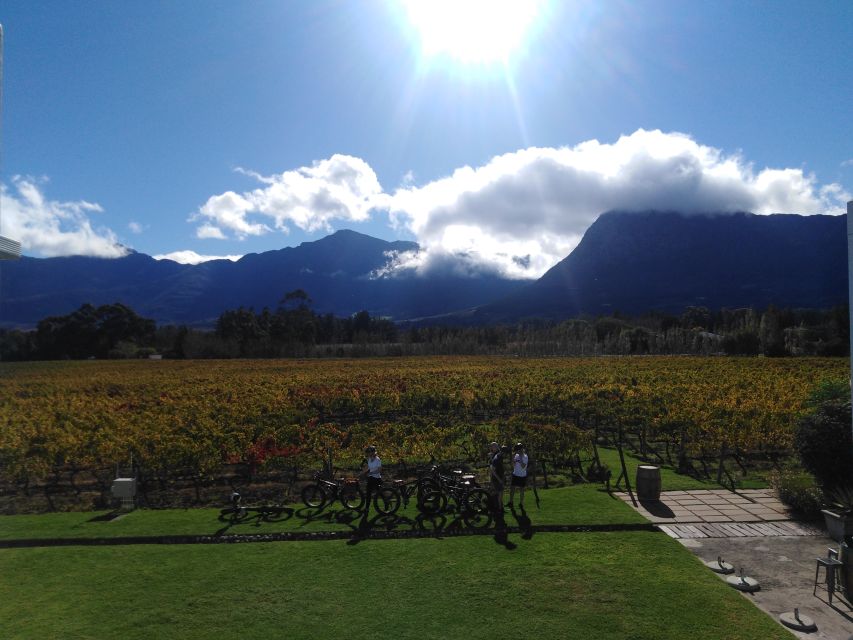 Franschhoek: E-Bike Guided Winery Tour
