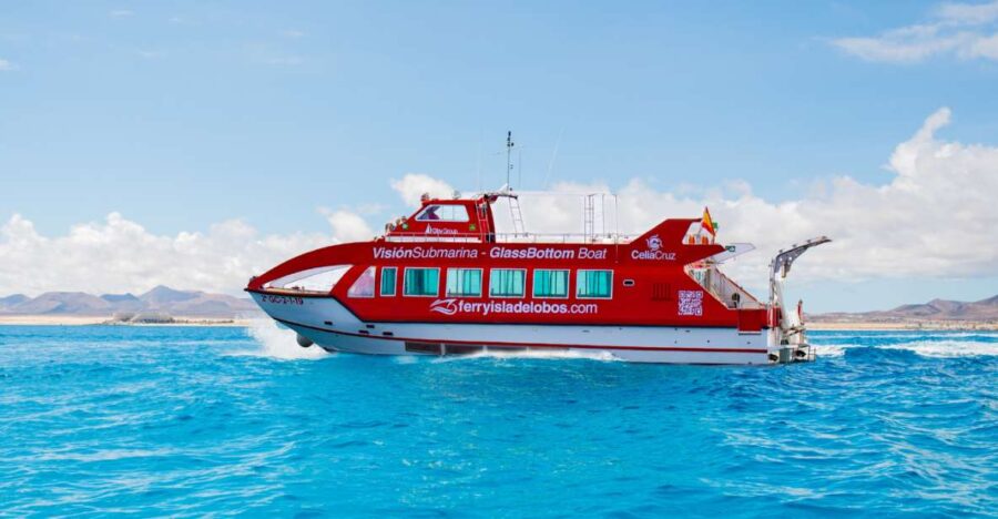 From Caleta De Fuste: Return Bus and Ferry to Lobos Island