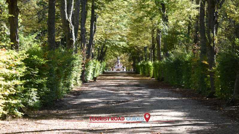 From Madrid: San Ildefonso Farm, Lunch and Segovia Tour - Tour Highlights