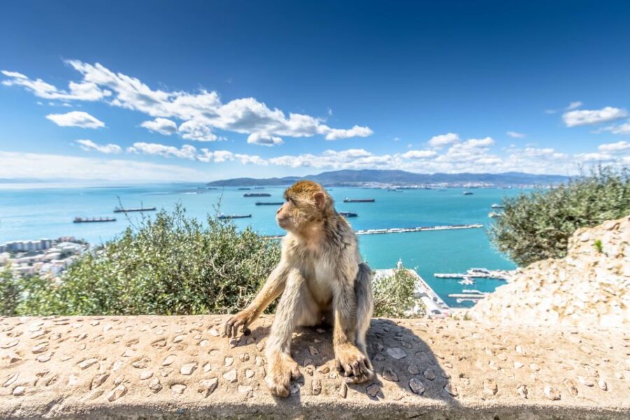From Malaga and Costa Del Sol: Gibraltar Sightseeing Tour - Tour Overview