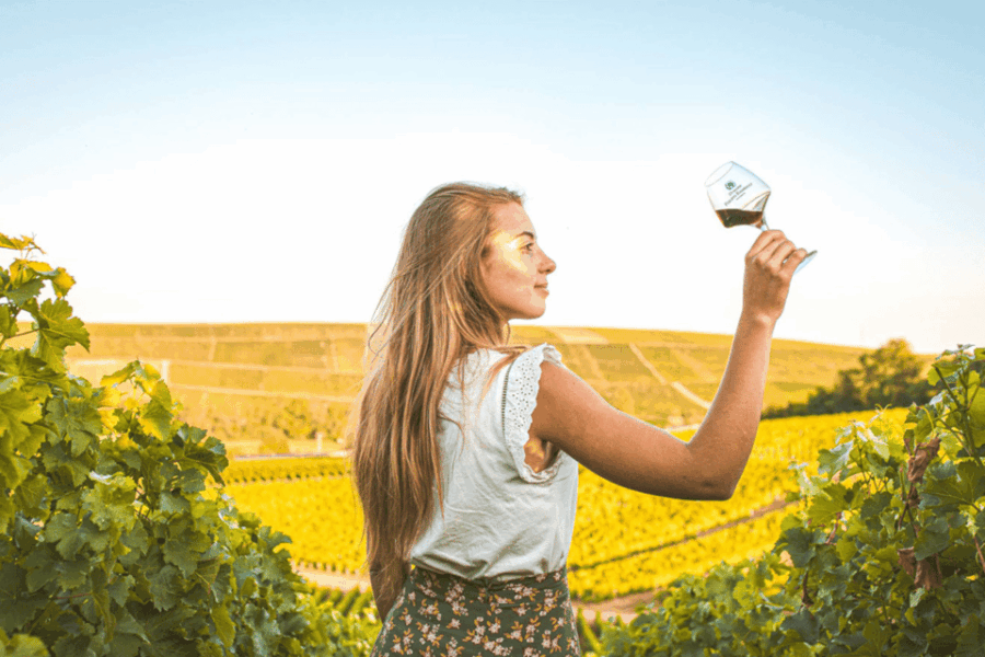 From Paris: Private Sancerre Wine Tour W 10 Tastings & Lunch