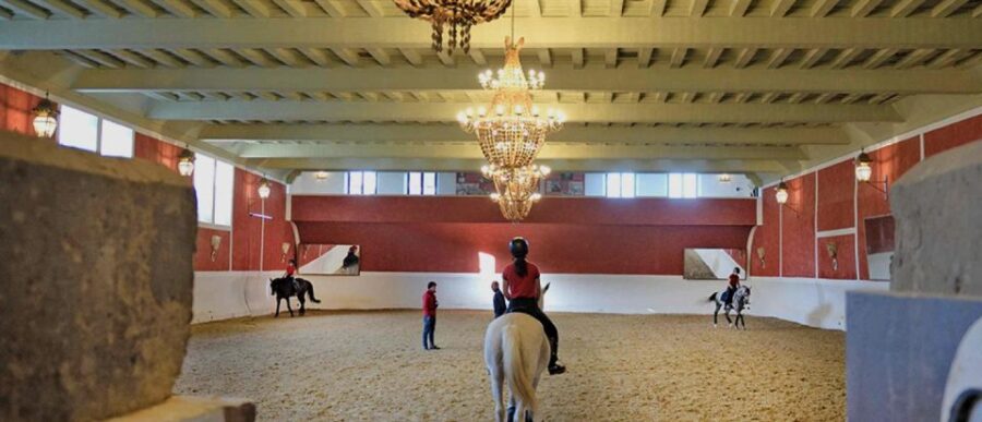 From Ronda: Guided Tour of the Ronda Bullring