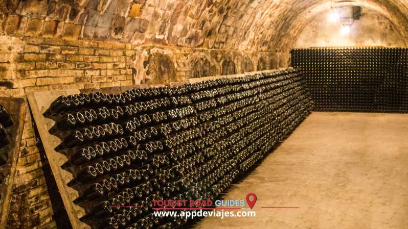 6 Best Tours In Cambrils