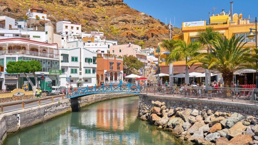 Gran Canaria : Dolphin Boat Excursion and Market on Fridays