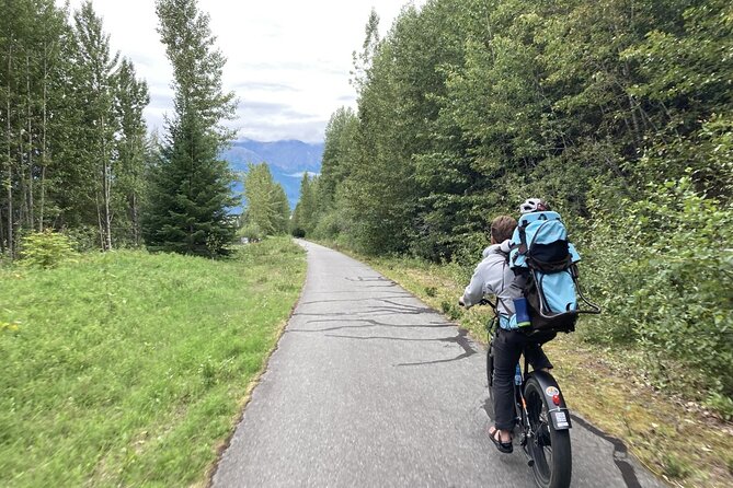 Guided Ebike Tour Bird to Gird E Bike Alaska Anchorage Girdwood - Key Points