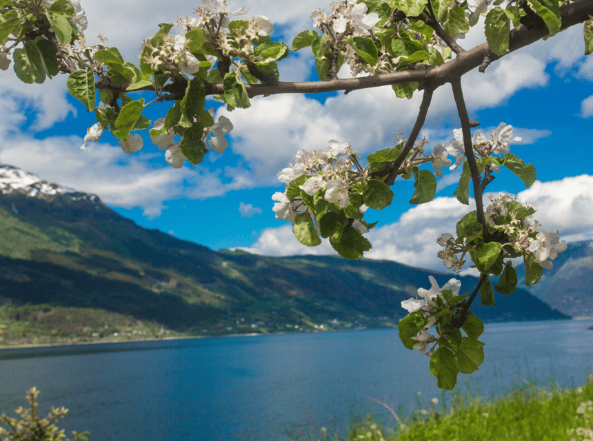 Hardangerfjord Lunch at Cider Farm, Coffee at Historic Hotel - Tour Overview and Pricing