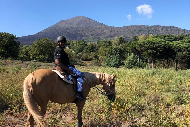 Horse Riding Experience on Vesuvius W/ Wine Tasting