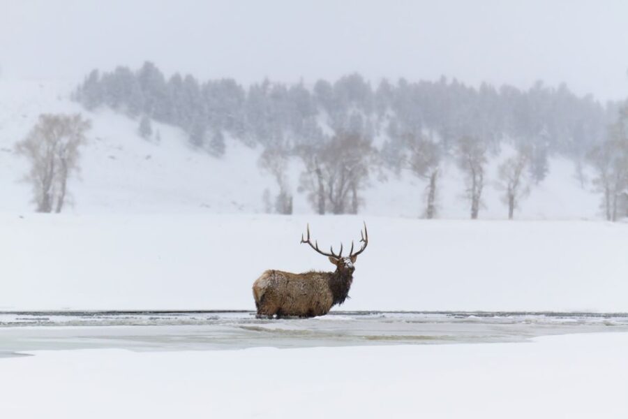5 Best Tours In Wyoming