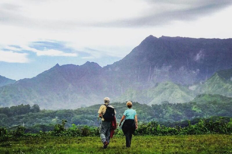 Kauai: Half-Day Kauaʻi Adventure - Key Points