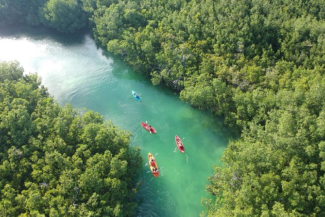 Kayak Adventure Through Laguna Nichupte in Cancun