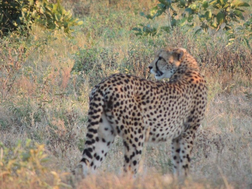 Kruger National Park Safari - 3 Day