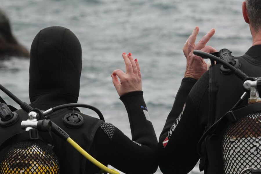 La Palma: Basic Diver Certification With 2 Atlantic Dives