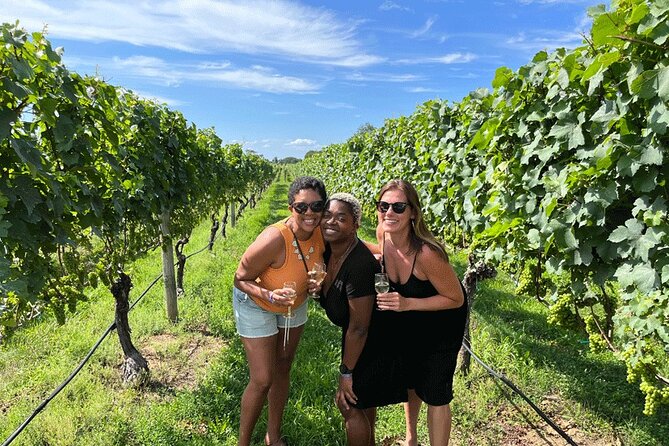 Long Island Full Day Wine and Food Tasting Vineyard Tour From NYC - Tour Overview