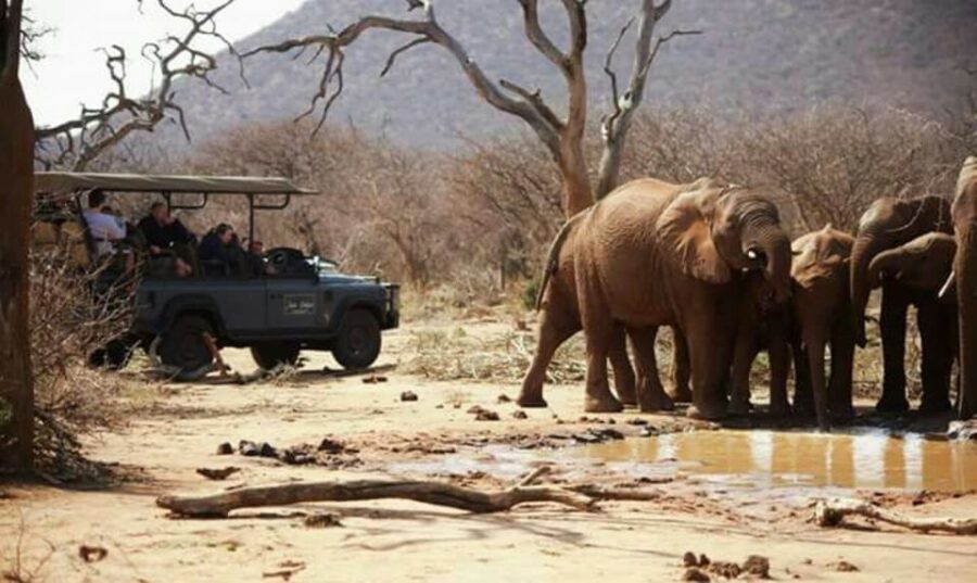 Madikwe Game Reserve Day Tour