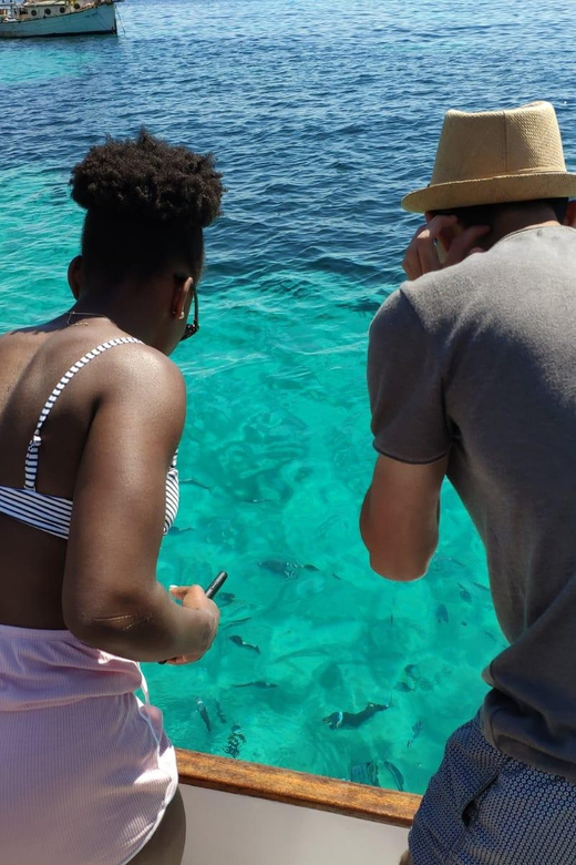 Mallorca: Lluit Excursion Around Palma With Food and Drinks