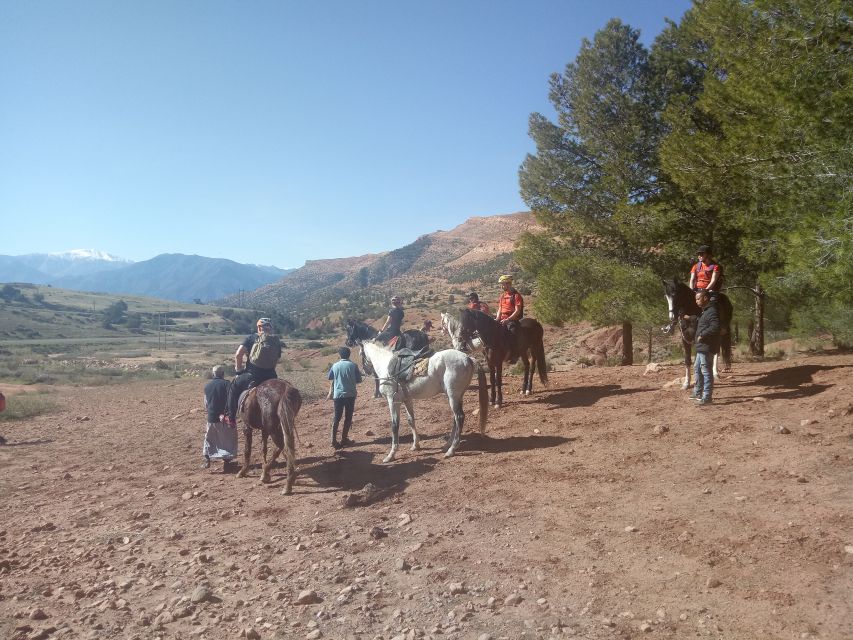 Marrakech: Atlas Mountains Horse Riding Day Trip - Key Points