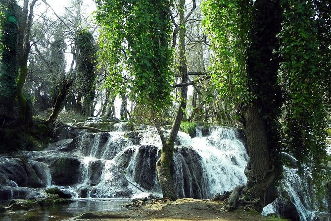 Middle Atlas Day Trip From Fez