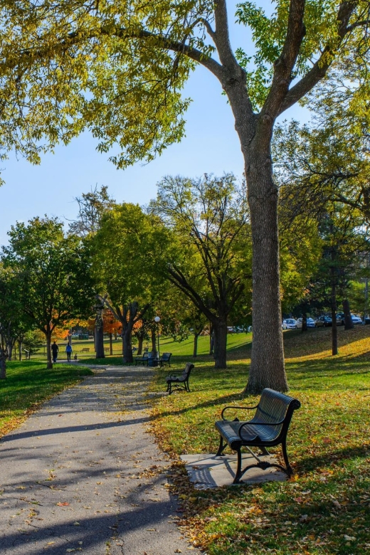 Minneapolis Gems: A Discovery Walk for USA Tourists