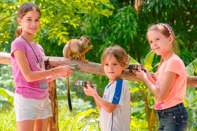 Monkeyland Half Day Safari From Punta Cana - Health and Safety Considerations