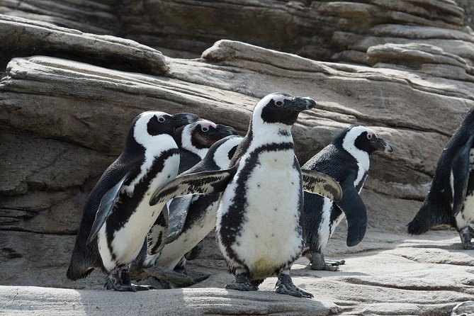New York Aquarium Admission