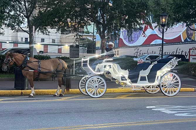 Private Carriage Tour of Galveston - Meeting and Pickup