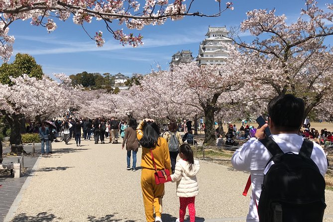 Private & Custom KOBE (HIMEJI CASTLE) Day Tour by Toyota COMMUTER (Max 13 Pax)