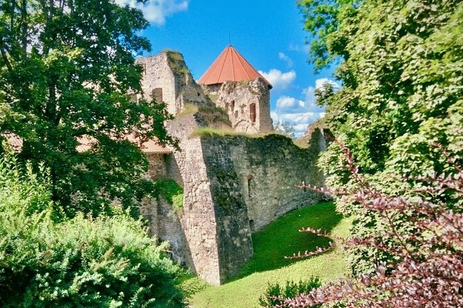 Private Full-Day Trip to Turaida, Sigulda, and Cesis - Accessibility and Participation
