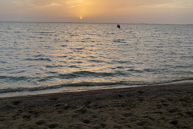 Private Horse Riding Experience at Red Sea