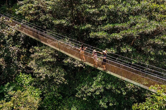 Rainforest Waterfall Hike, Hanging Bridges, and Cultural Lunch in Local Home