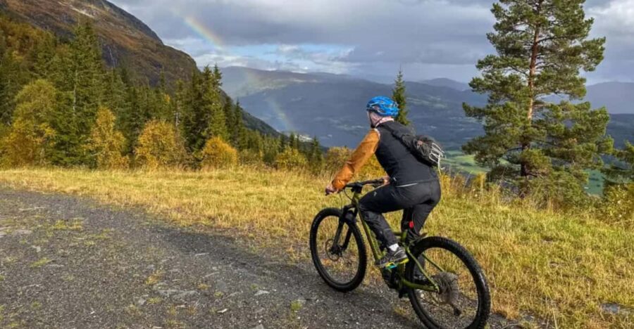 Rentals | E-Mountain Bike – Full Suspension