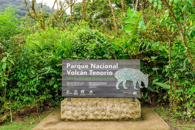 Rio Celeste Hiking, Sloth Sanctuary & Llanos De Cortes Waterfall Tour