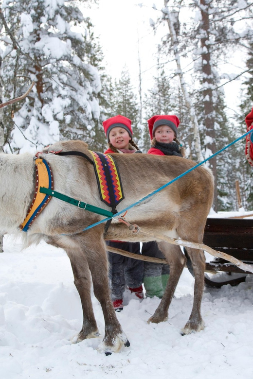 Rovaniemi: Santas Village-Photo-Reindeer/Husky Safari