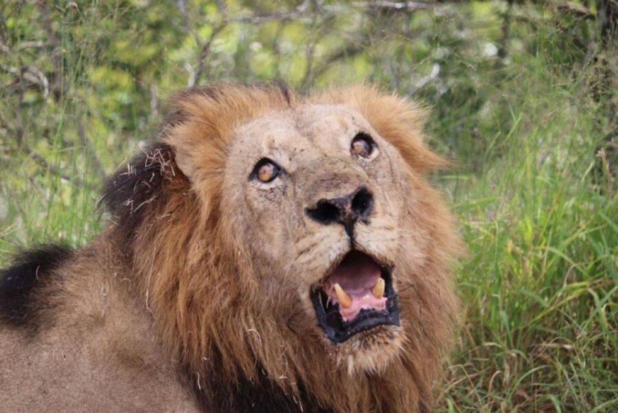 3 Best National Park Tours In Maputo