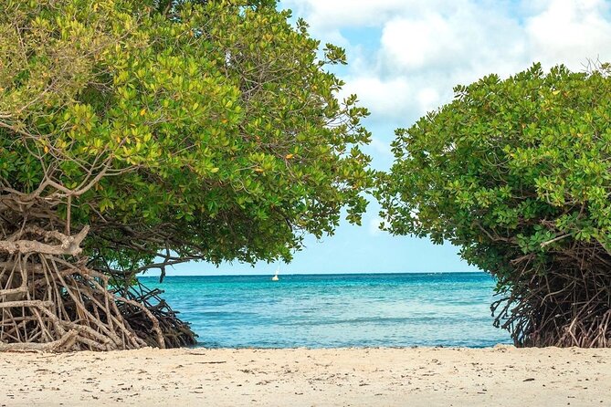 Small-Group Aruba Scuba Diving for Non-Certified Divers - Scuba Diving Experience Overview