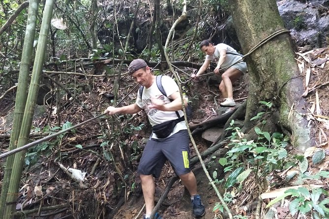Small-Group Jungle Hiking Excursion in Khao Phra Teaw Park - Included in the Tour