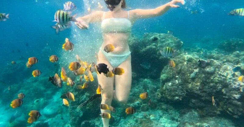 Snorkeling Nusapenida - Best Part Swim With the Mantarays🤙 - Key Points