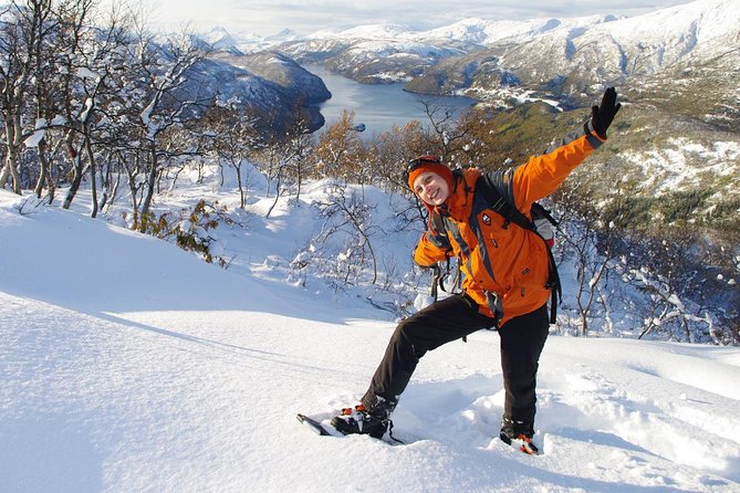 Snowshoeing – Winter Day Trip in Bodo, Northern Norway