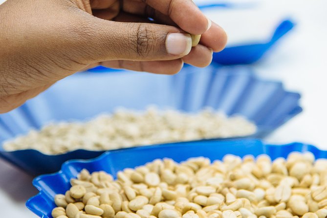 3 Best Coffee Tours And Tastings In Kigali