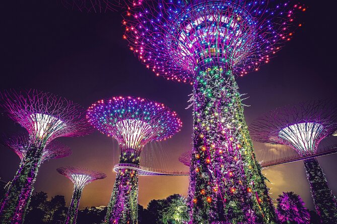 Starry Night Singapore Tour + Roundtrip Transfers