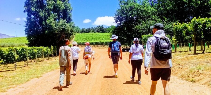 Stellenbosch: Dwarsrivier Summer Court Wine Walk - Thelema Mountain Vineyard Experience