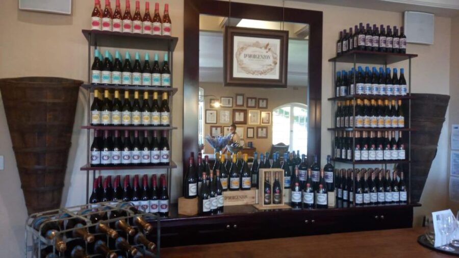 Stellenbosch, Franschhoek, Paarl Region (20 Wine Tastings)
