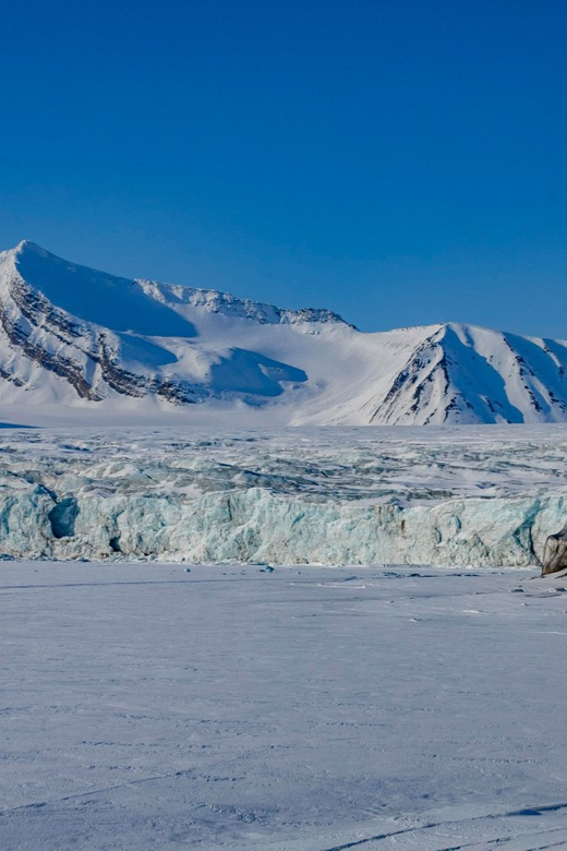 Svalbard: Dog Sledding and Northern Lights Tour With Hut … - Tour Overview and Pricing