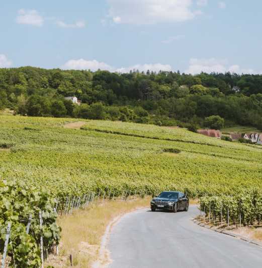 Tailormade Experience in Champagne