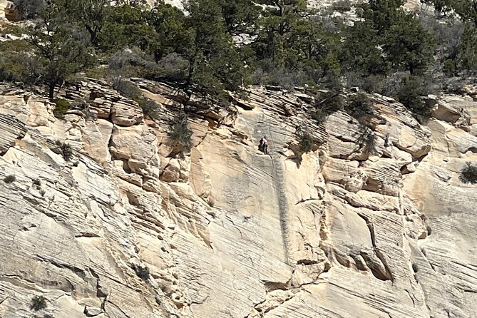 Tallest in Utah via Ferrata & Rappelling (4 Hr)