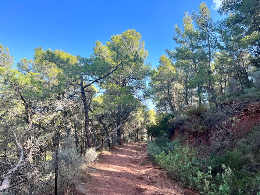 Valencia: Sierra Calderona & El Garbí Mountain Hiking Tour