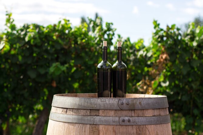 Wines and Views Private Wine Tour of Otago From Queenstown - Tour Overview