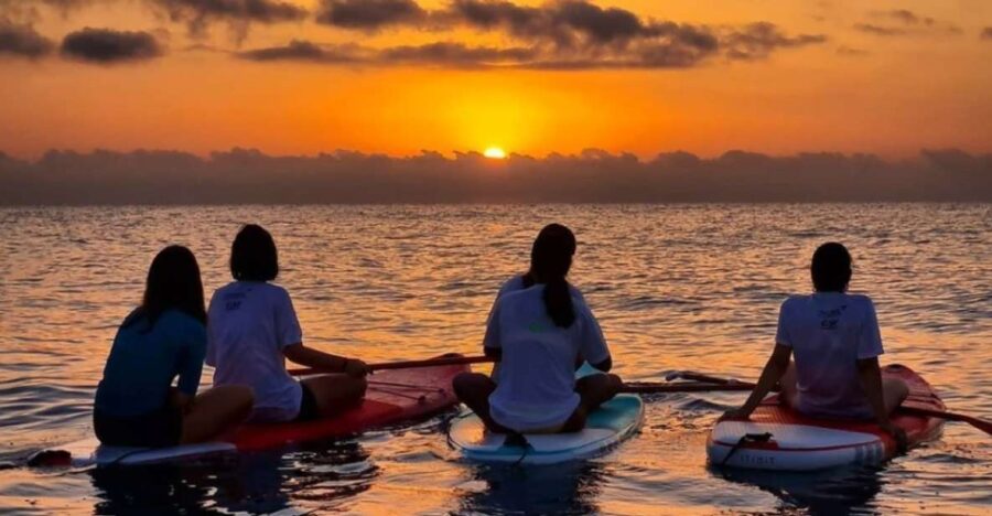 Xeraco: Private Sunrise Kayak or SUP Tour - Tour Overview
