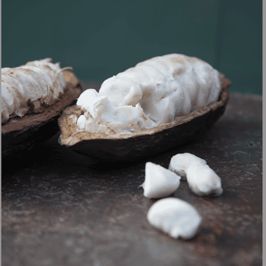 Zaandijk: Chocolate Making Demonstration & Tasting - Activity Overview