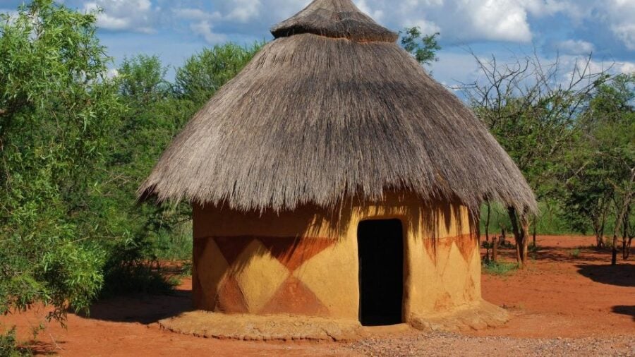 1/2 Day Tala Game Reserve & Phezulu Safari Park From Durban